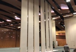 Sections and Staging For Grand Hall