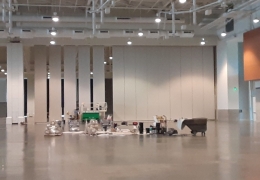 Staging Area For Exhibit Hall