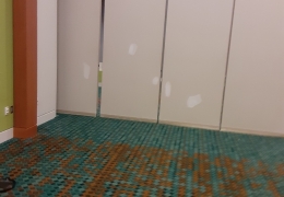 Grand Hall Sections Initial Repairs